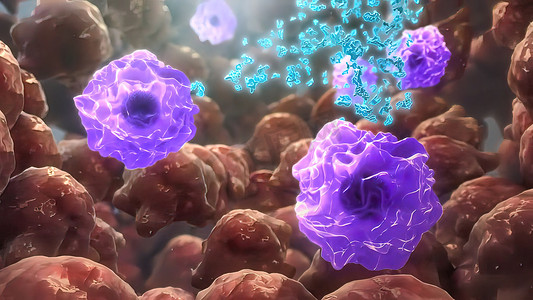 3数字3摄影照片_攻击肿瘤细胞的抗体