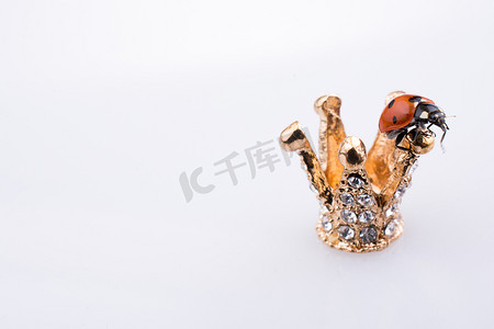 昆虫王国摄影照片_小模型皇冠上的瓢虫