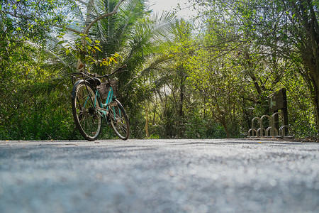 热带森林道路上自行车停放的低视角