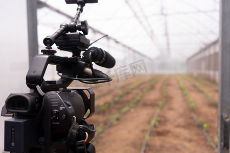摄像机拍摄温室内的蔬菜种植园，灌溉和温度受控
