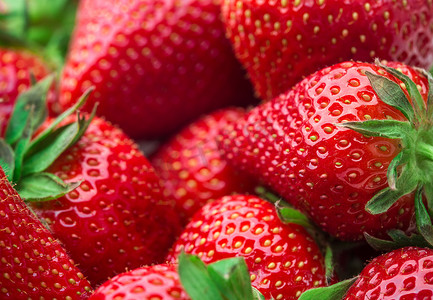 新鲜的草莓背景。