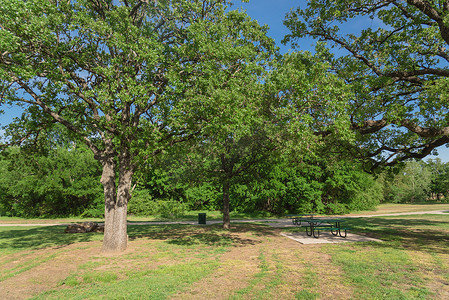 美国德克萨斯州公共自然公园的野餐桌