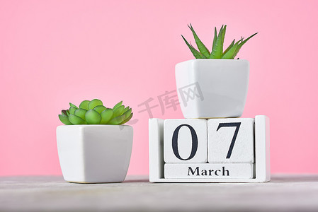 三月七摄影照片_木块日历，日期为 3 月 7 日，粉红色背景上有植物