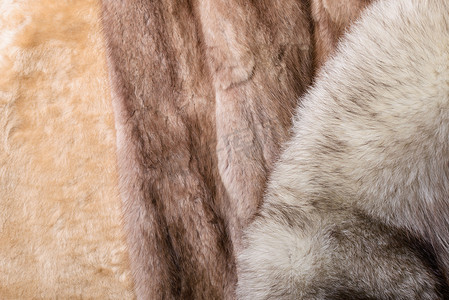 狐狸远景摄影照片_羊皮、水貂皮和狐狸毛皮