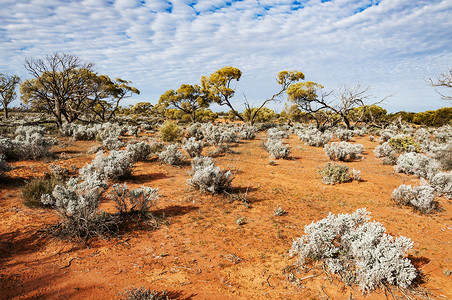 澳大利亚沙漠、内陆地区