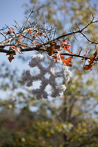 圣诞雪花装饰