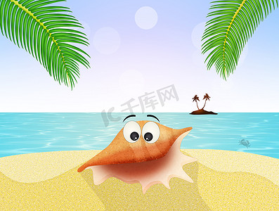 海洋卡通贝壳摄影照片_海滩上有趣的贝壳卡通