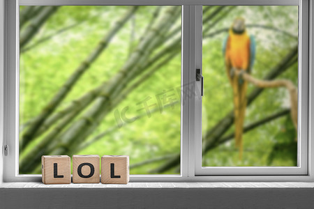 哈哈大笑卡通人物摄影照片_哈哈，在一个有鹦鹉的丛林的窗户里签名