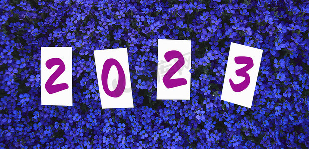 新年背景概念，蓝色花朵与 2023 年卡片在蓝色背景上。