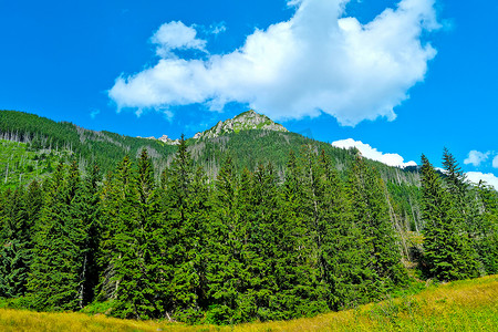 在阳光明媚的日子里，可以看到美丽如画的山景。