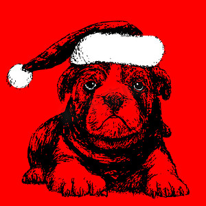 戴着圣诞老人帽子的狗手绘