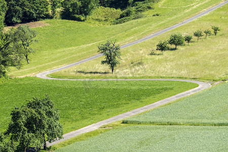 蜿蜒小路摄影照片_绿色的蜿蜒小路