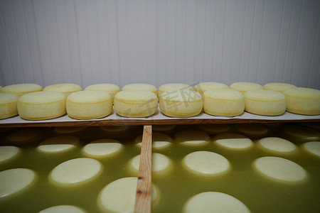 奶酪工厂生产货架上陈旧的奶酪