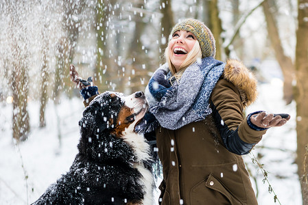 女人在冬天遛狗，两人都在雪地里探索