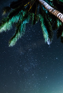 椰树星银河下的夜空景观
