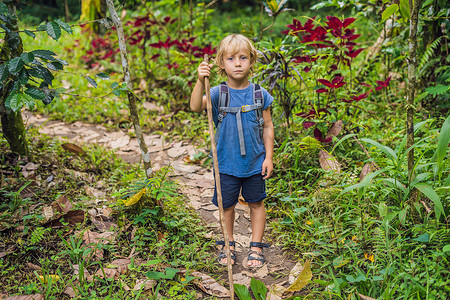 拿着棍子摄影照片_快乐的男孩游客拿着棍子在森林里行走，进行追踪