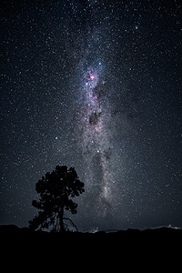新西兰二月银河夜空下的树