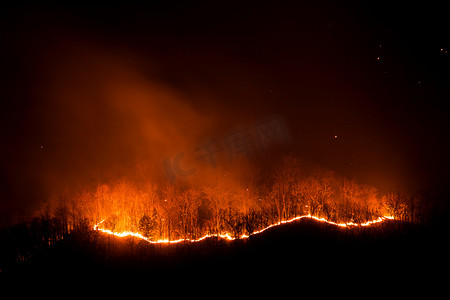 森林火灾在夜间燃烧树木。