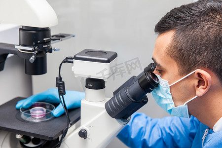 年轻男性科学家在显微镜下观察细胞培养