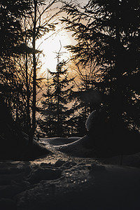 捷克共和国森林中的日落和树木雪