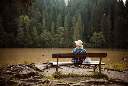 一位年轻女子坐在长凳上的后视图，旁边是一棵有许多根的树。