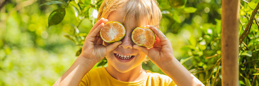 花园里的可爱男孩收集橘子 BANNER, LONG FORMAT