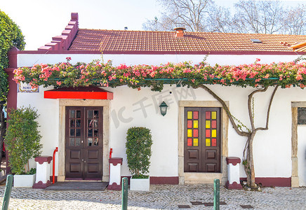 粉色植物花框摄影照片_葡萄牙底层房屋的正面