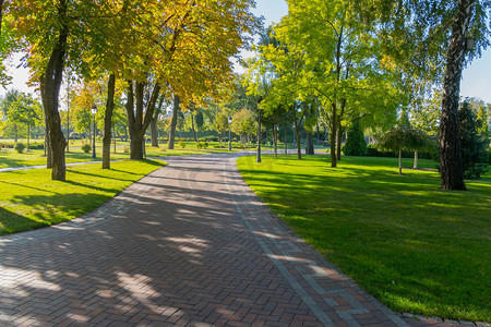 公园里一条宽阔的小巷铺着瓷砖，绿油油的草坪，