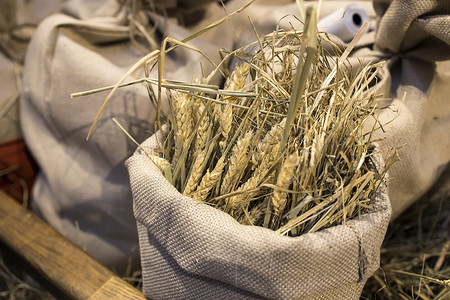 帆布袋中的干麦穗作为市场上的展示装饰