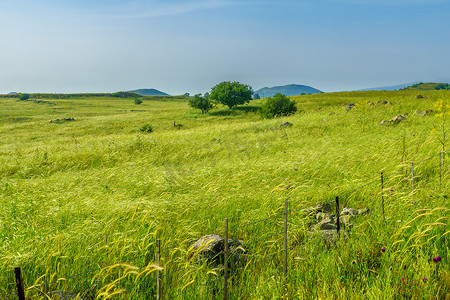 农村大山风景摄影照片_戈兰高地的风景