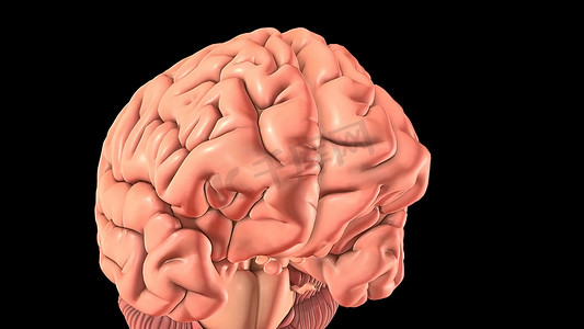 轻度创伤性脑损伤可能会暂时影响您的脑细胞。