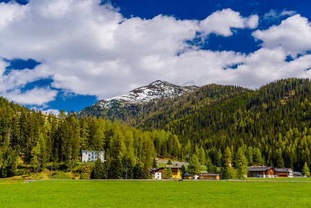 阿尔卑斯山覆盖着松树林，达沃斯，格劳宾登州，瑞士