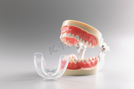 坤3d模型摄影照片_人牙模型、牙齿正畸牙齿模型或人颌、咬嘴