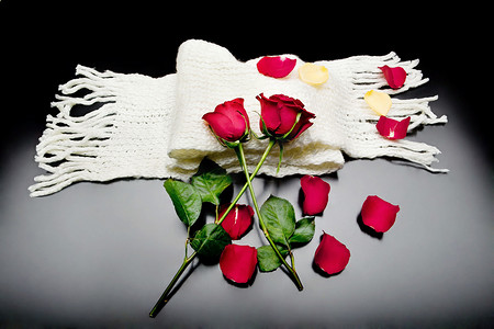 黑色背景上的两朵红玫瑰和红色花瓣