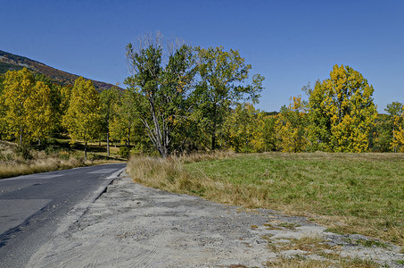 维托沙山道路、针叶林和落叶林及林间空地色彩缤纷的秋季景观