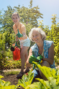 在女儿浇灌花园时从事蔬菜工作的高级妇女