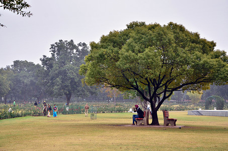 印度昌迪加尔 — 2015年1月4日：游客参观扎基尔侯赛因玫瑰园