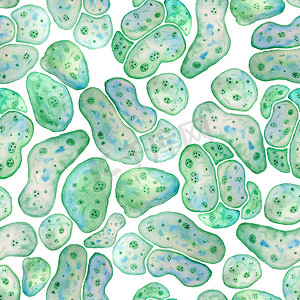 无缝模式摄影照片_单细胞绿蓝藻小球藻螺旋藻与大细胞单细胞与脂杂草液滴的无缝模式。