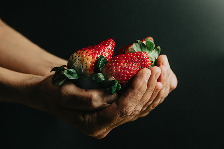 黑色背景中老妇人的手抓着一束超级红草莓