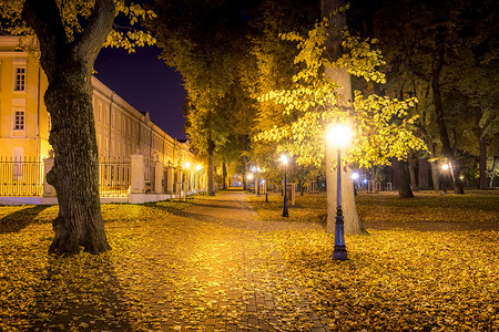 秋天的夜公园，落叶黄黄。