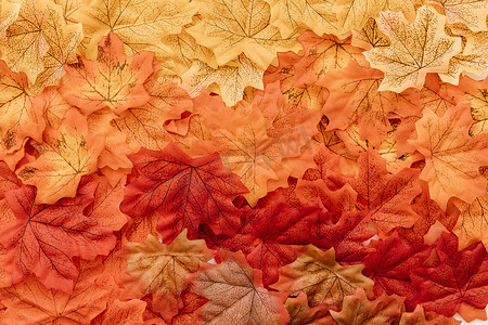 秋天木板背景摄影照片_平躺落叶表面