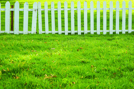 花园的栅栏背景摄影照片_花园木栅栏里的绿树和绿草