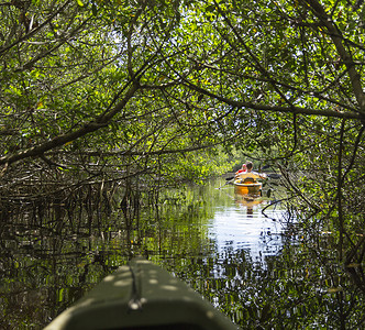 在美国佛罗里达州大沼泽地国家公园划皮划艇