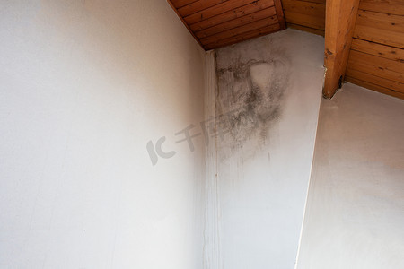 角落里的黑色霉菌，建筑物的旧天花板，水渍导致霉菌生长，房间里有危险的有毒真菌，需要翻新房，复制空间
