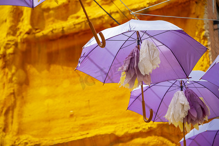 紫色城市背景布摄影照片_瓜达拉哈拉布里韦加主要街道上悬挂着紫色雨伞。