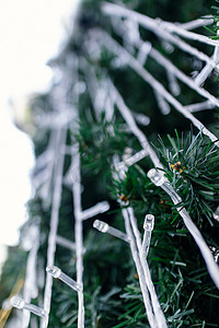 室外圣诞背景摄影照片_白天室外圣诞树上的灯光细节