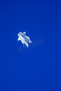 天上风筝摄影照片_巴厘岛的白色风筝在蓝天上飞翔。