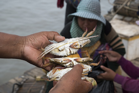 柬埔寨白马省 Krong Kaeb 螃蟹市场
