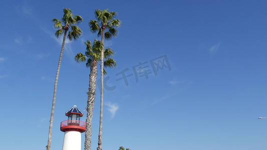 灯塔、棕榈树和蓝天。