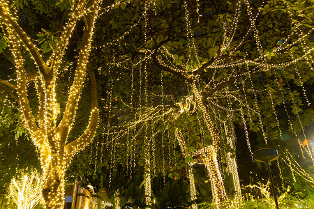 夜间节日季节花园树上挂着装饰性户外串灯 — 装饰性圣诞灯